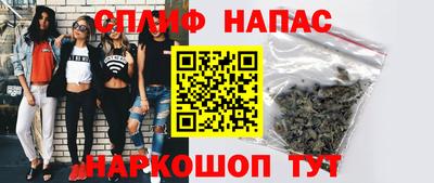 гидра Гусев