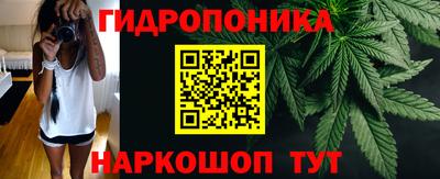 гидра Гусев