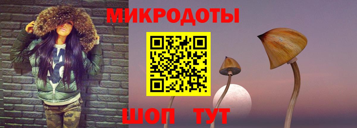 Псилоцибиновые грибы прущие грибы Нижний Новгород