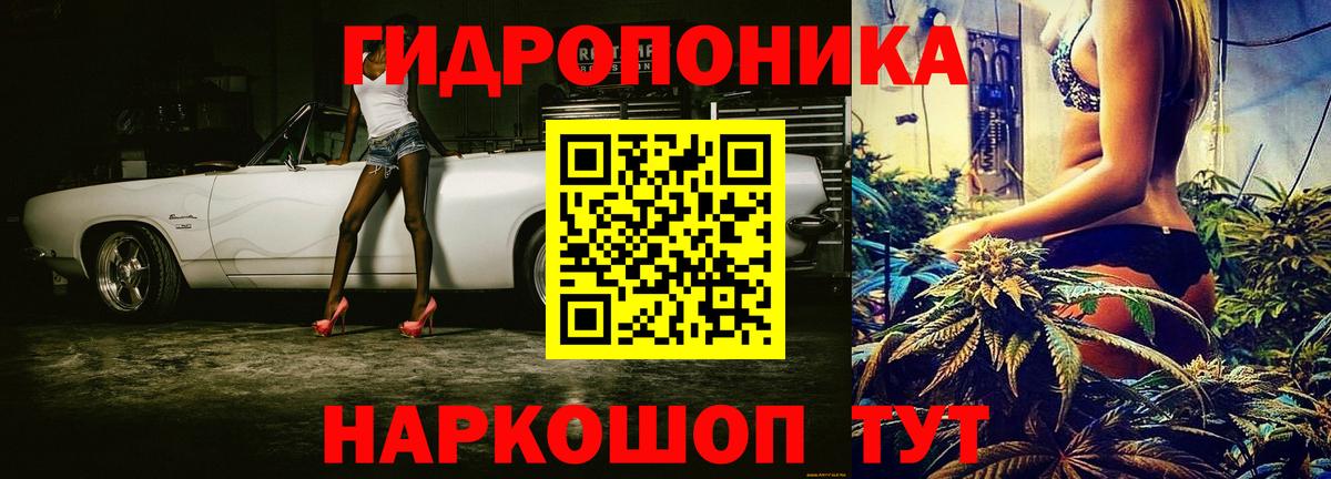 Нижний Новгород  Конопля White Widow  Вход с VPN  Бошки марихуана Bruce Banner  Марихуана план  Бошки марихуана VHQ 
